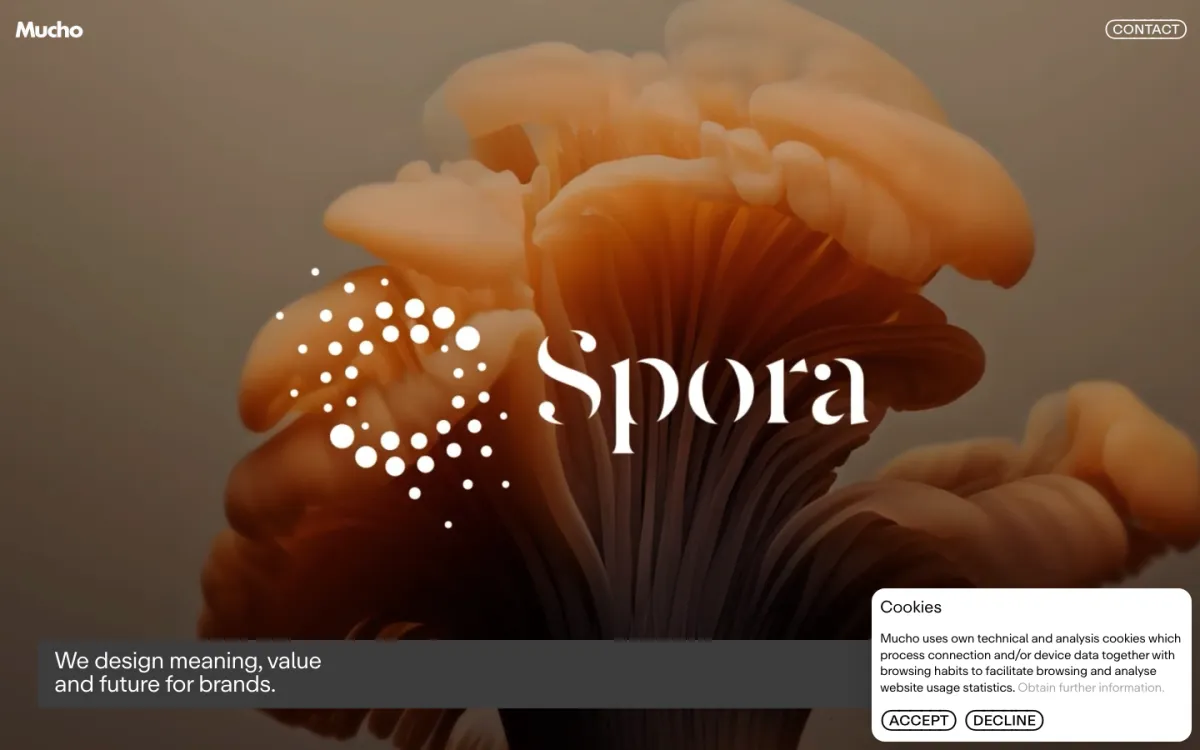 Mucho homepage, captured September 28, 2026